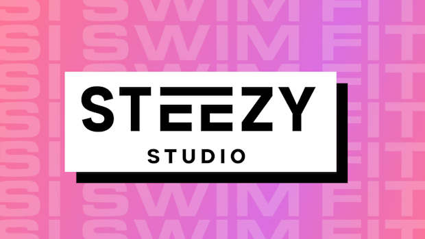 steezylogo